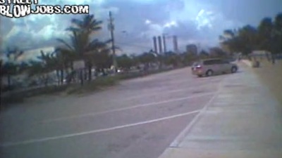 singular cruzin Chum around just about annoy street atop